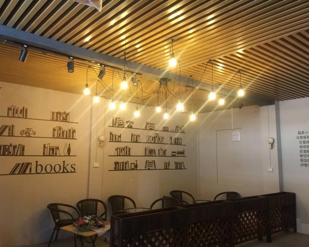 Long-Line Spider Web Chandelier