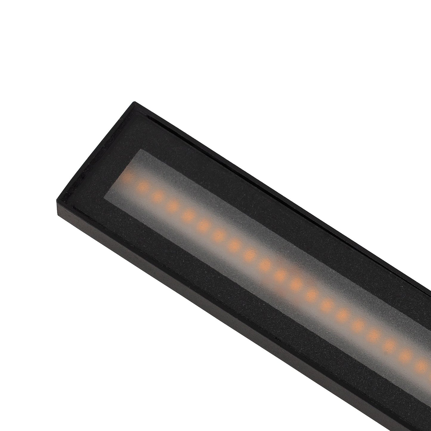 Softline LED Indoor Outdoor Wall Sconce