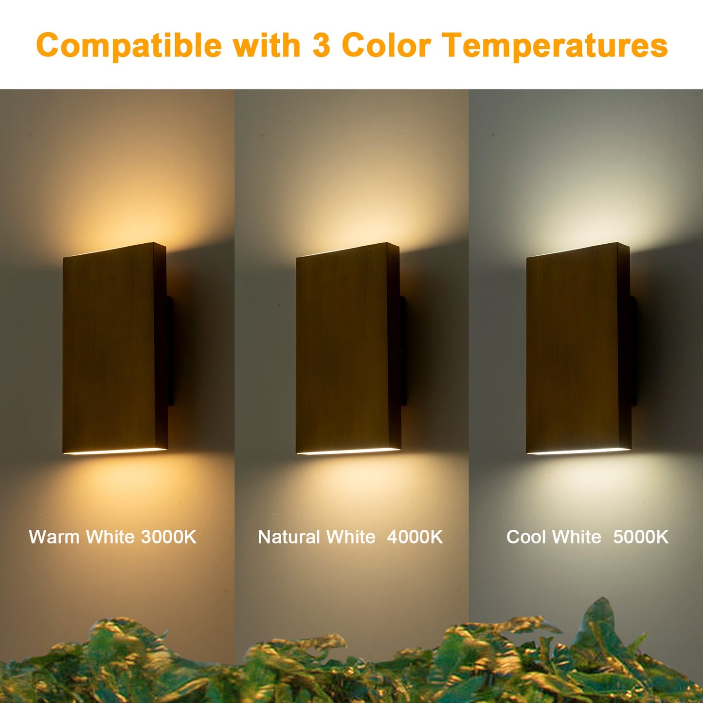 FloatBox LED Outdoor Wall Lantern