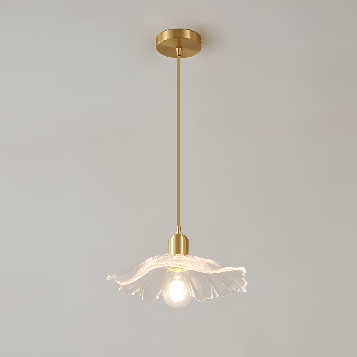 European Style Brass Glass Ceiling Lamp
