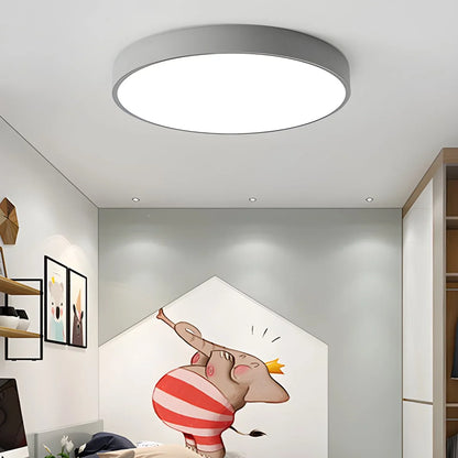 Modern Simple French Ceiling Lamp