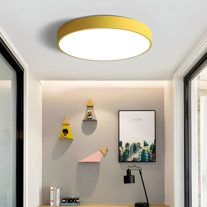 Modern Simple French Ceiling Lamp