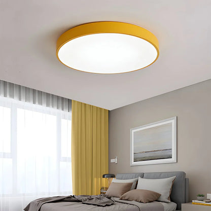 Modern Simple French Ceiling Lamp