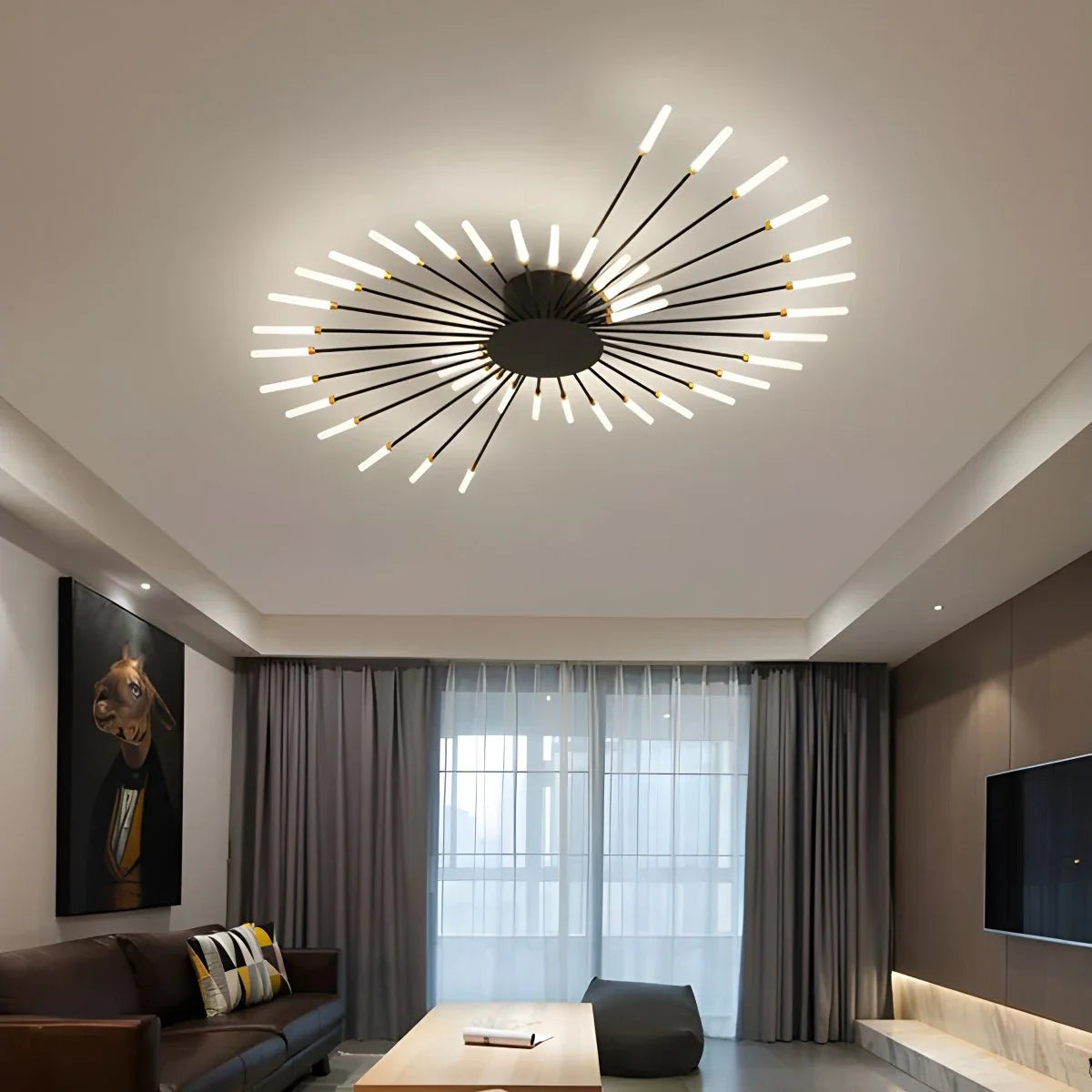 Modern French Fireworks Ceiling Light