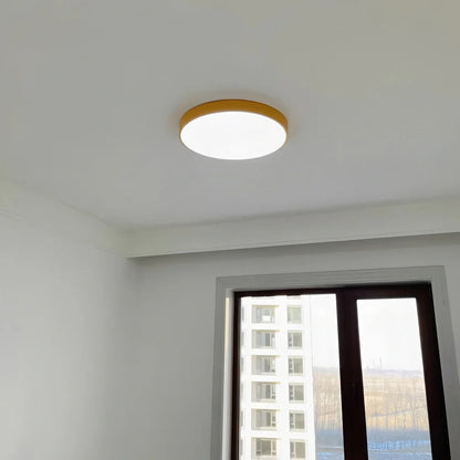 Modern Simple French Ceiling Lamp