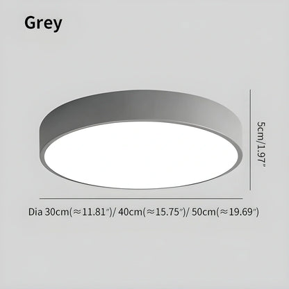 Modern Simple French Ceiling Lamp