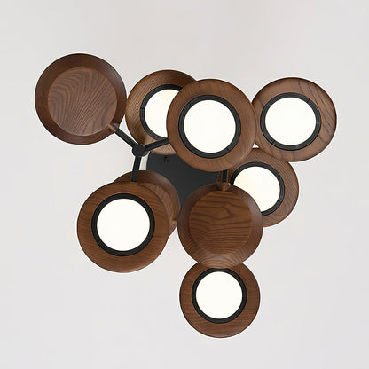 Small Dragonfly Chandelier