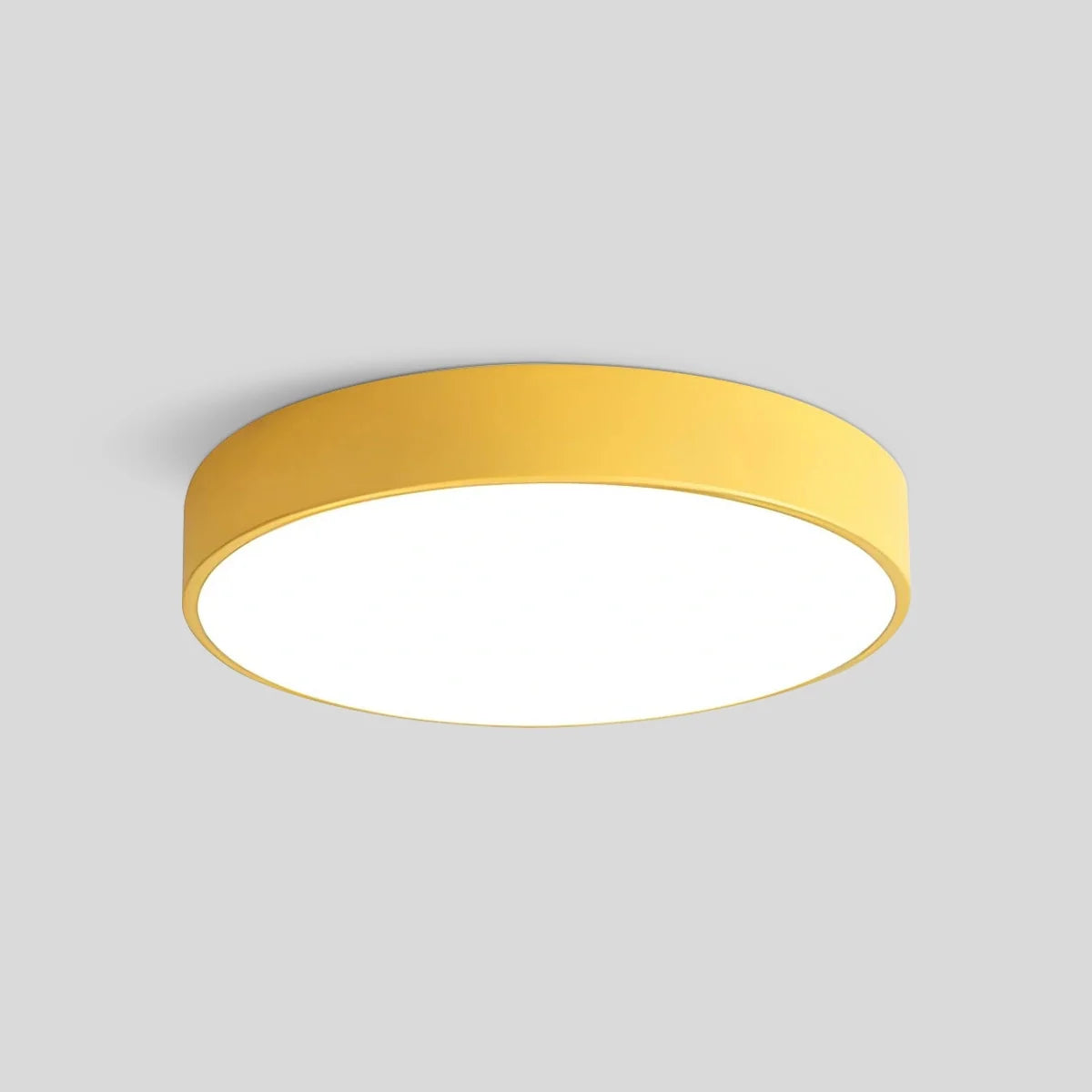 Modern Simple French Ceiling Lamp