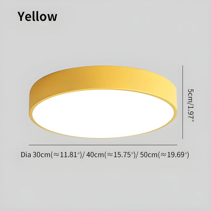 Modern Simple French Ceiling Lamp