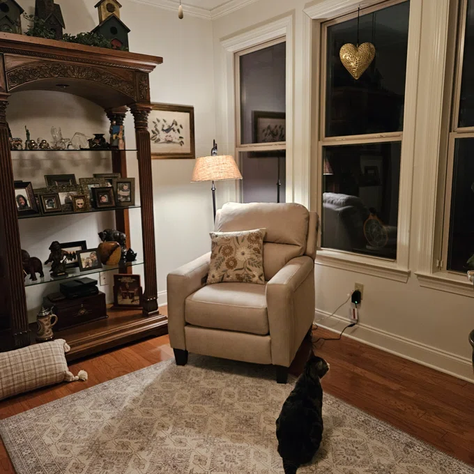 Farmhouse Metal Swing Arm Floor Lamp