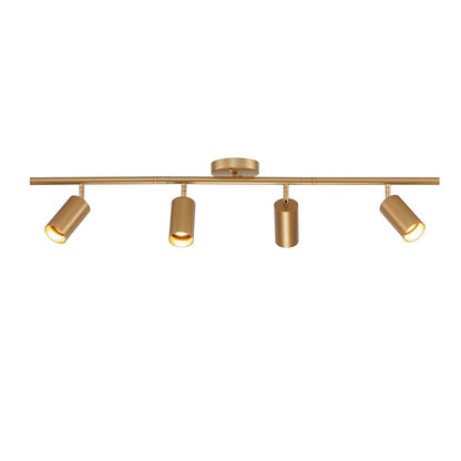 4-Light Adjustable Gold Ceiling Track Light