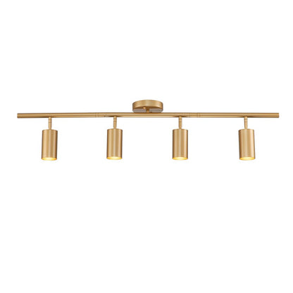 4-Light Adjustable Gold Ceiling Track Light