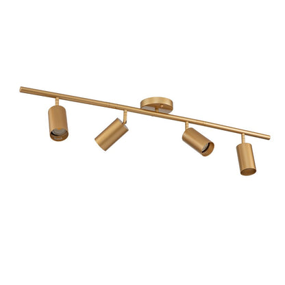 4-Light Adjustable Gold Ceiling Track Light