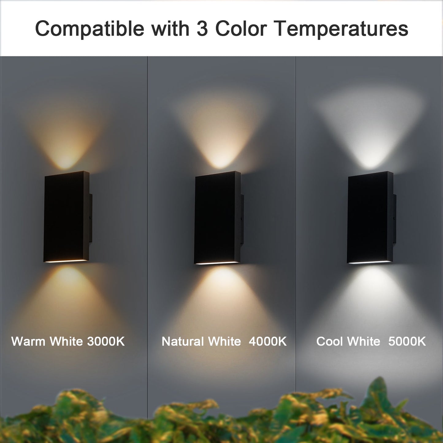 FloatBox LED Outdoor Wall Lantern